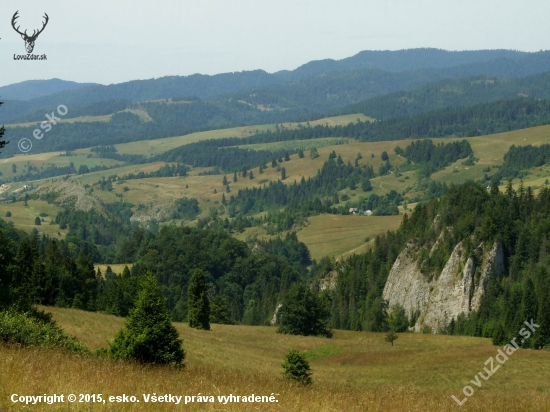 Pohľad do Poľska