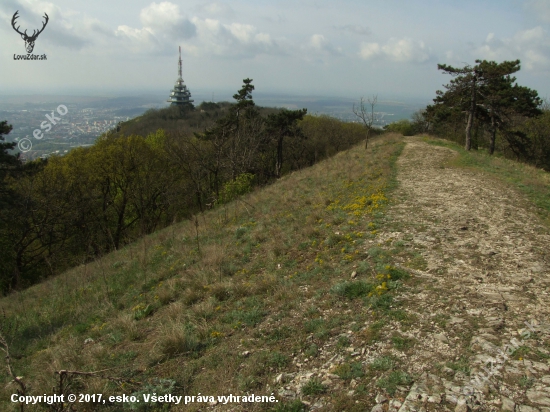 Zobor