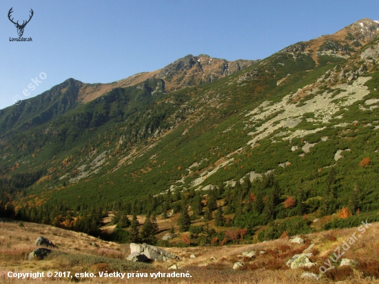 V Račkovej doline