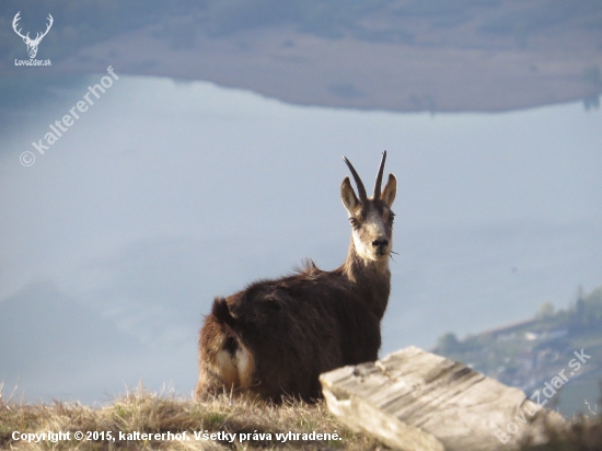 suedtirol