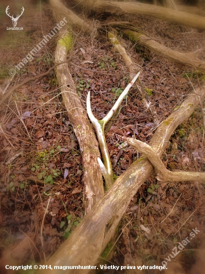 Kto si malé neúcti,nech velké nečaká !