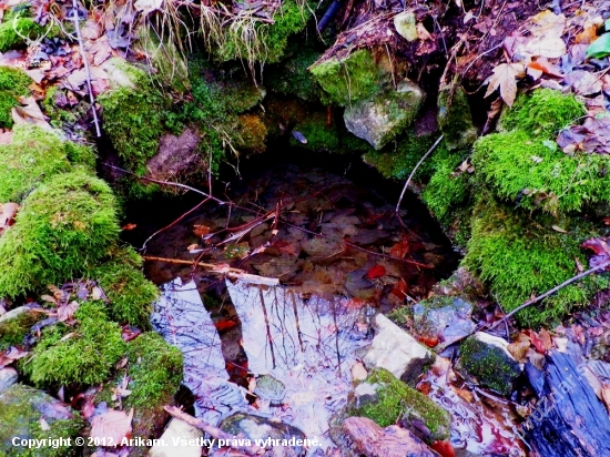 Studánka