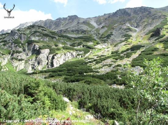 tatry