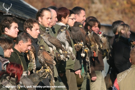 Sokoliarske stretnutie Sečovce 2011