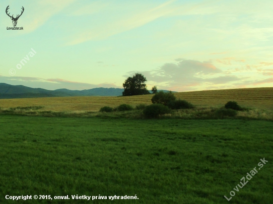 Polia,lúky,remízky,pod Poľanov.