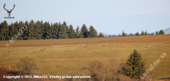 Ráno o pol 8 z balkóna