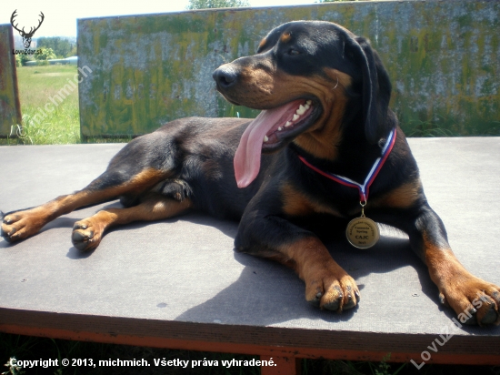 FREDY z Cerníka, 9 mes. CAJC