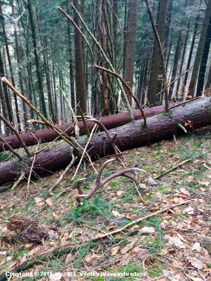 pekne odložené