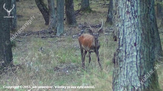 Nádejný mladík 27.10.2012 (foto z videa)