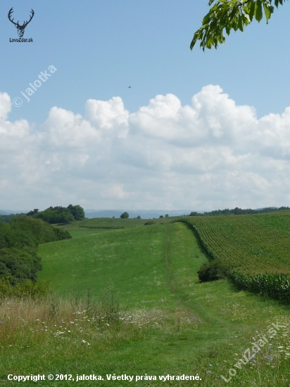 Biela-modrá-zelená