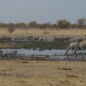 panoráma afriky