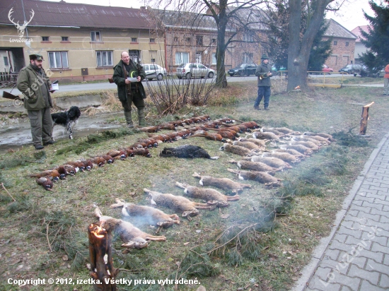 Výřad na dnešním honě 21 zajíců, 49 bažantů a 1 divoký krocan