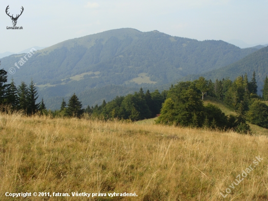 Lysec z Košarísk Belianska dolina Veľká Fatra