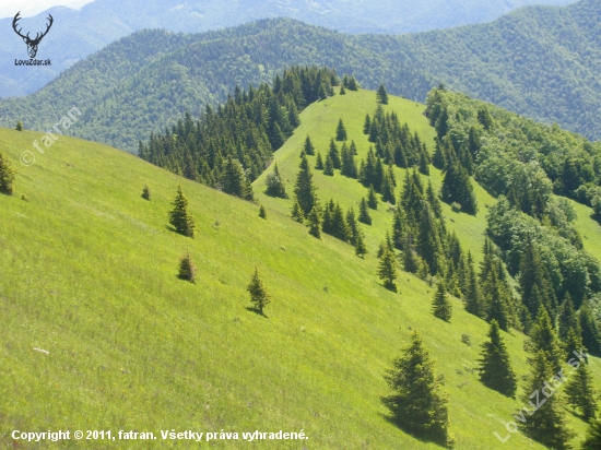 Hole Lysca Belianska dolina Veľká Fatra