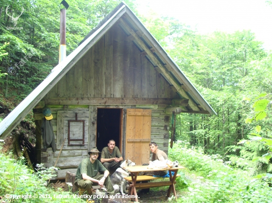 Dnes sme boli očistiť chodník na zrub od popadaných stromov