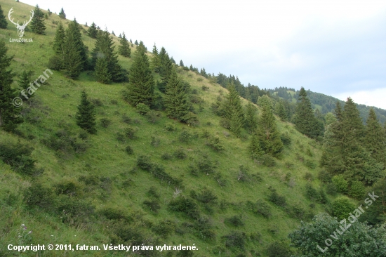 Večer v úplaze Lysca Belianska dolina Veľká Fatra