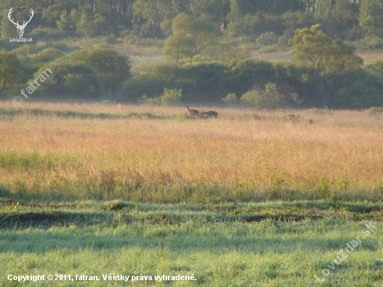 Serengeti Slovenský Raj