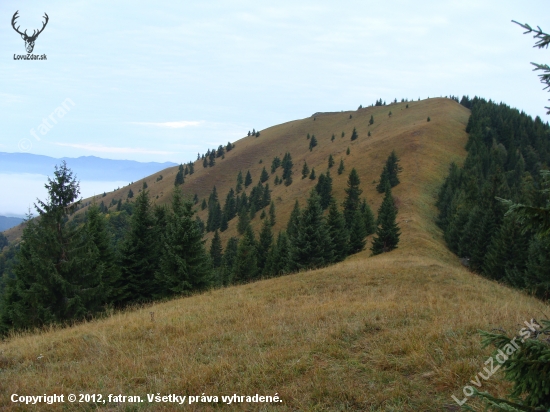 Lysec Belianska dolina Veľká Fatra