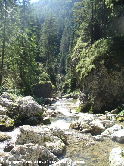 Canyon Kvačianka creek  North teritorium Slovakia