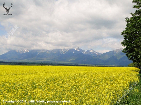 Tatry