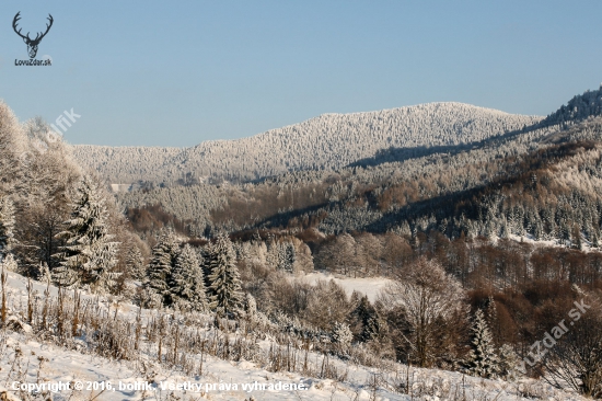 Poľana