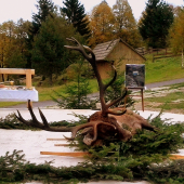 Jeleň zo Sv. Hubertskej omše na LT