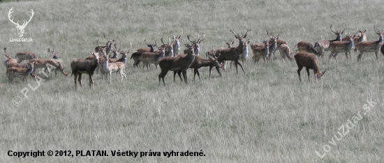 VZPOMÍNKA NA PODZIM