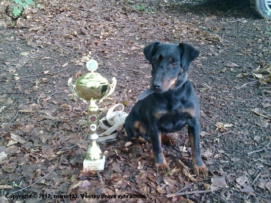 viťaska memorial gustava cmarku 2. ročnika