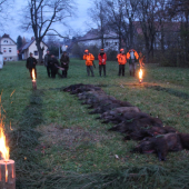 Memoriál Andreja Renča 2014 Hybe