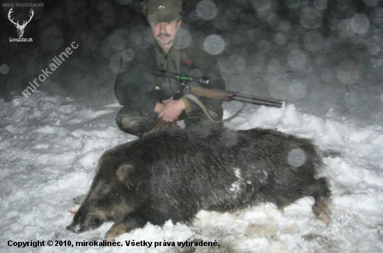 Kamarátov narodeninový diviak