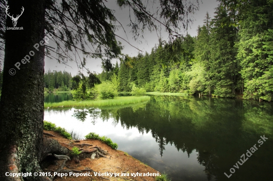 vrbické pleso