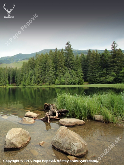 N.Tatry