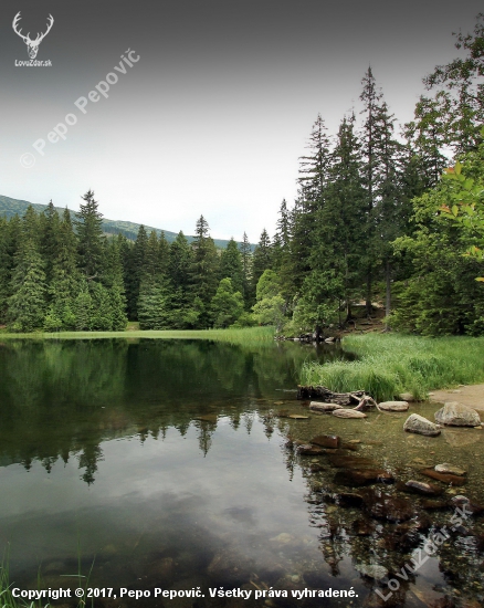 Vrbické pleso