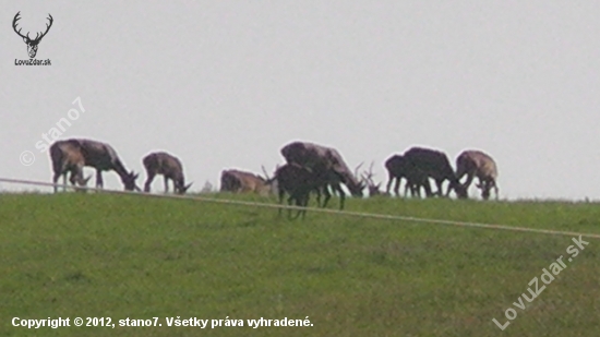 vysoká nad vogrondom