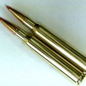 přesne a učine 7x64 Střela Hornady SST.