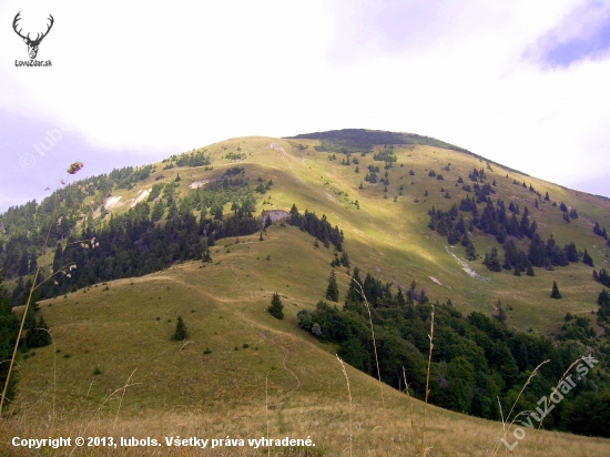 Veľká Fatra..