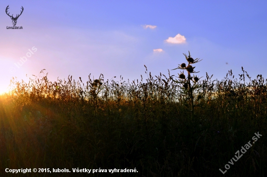 Večerná romantika. ♥