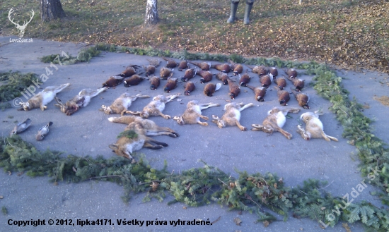 Sobotnajšia poľovačka na drobnú zver