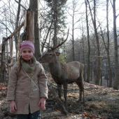 Viktoria a jelen Miso