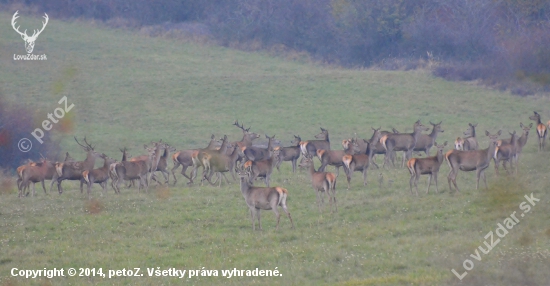 zhromaždenie