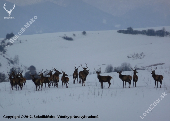 Milujem takéto pohľady :)