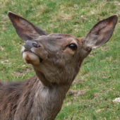 Čo to tam letí?