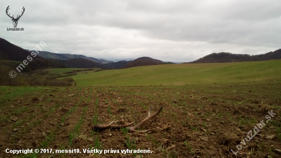 Dnešná prechádzka za daždivého počasia