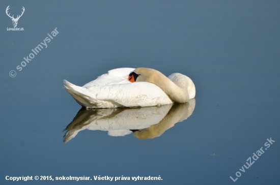 vodná posteľ