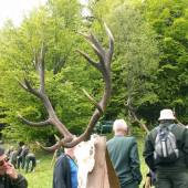 Trofeje z Poľany