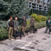 Svetová Klubová výstava Slovenských kopovov, Zvolen 2014. Zostava zo Zlatých Moravi