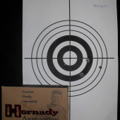 8x57IS / Hornady InterLock / 12.63g / CZ 550