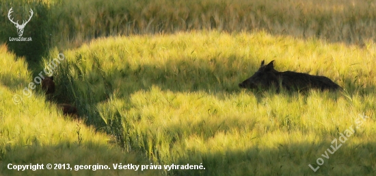 na stráži ...