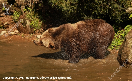 očista ...