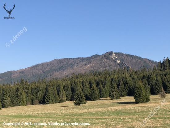 Naše lesy Prosecne a Prosiecka dolina